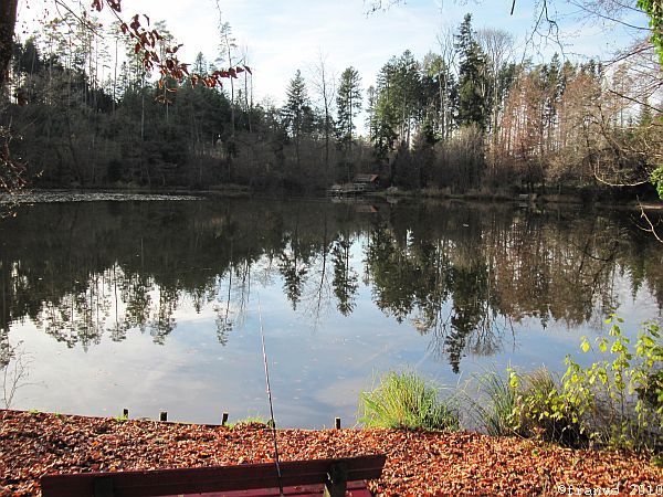 Aspachweiher bei Oberreitnau