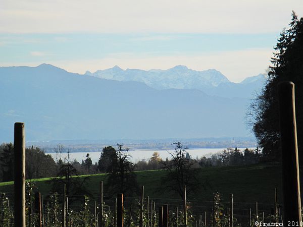 Bodensee und First in Vorarlberg